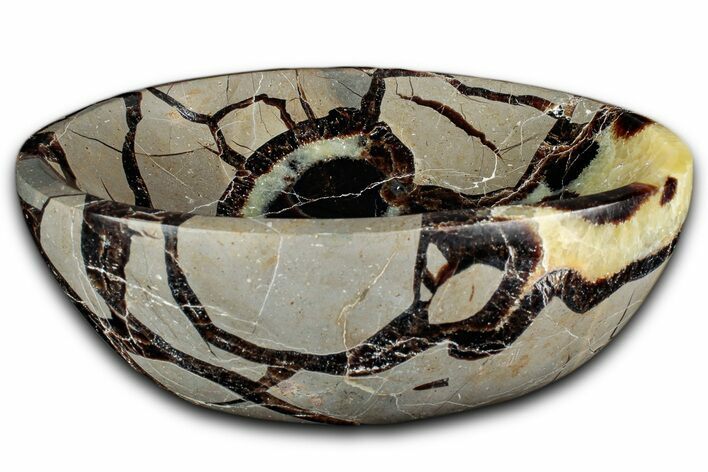 Eye-Eatching, Polished Septarian Bowl - Madagascar #350235
